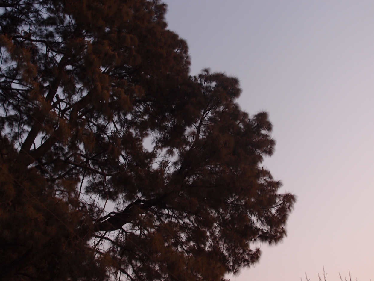 2018-01-22 14 Uhr - Kopan Monastary (Foto) 